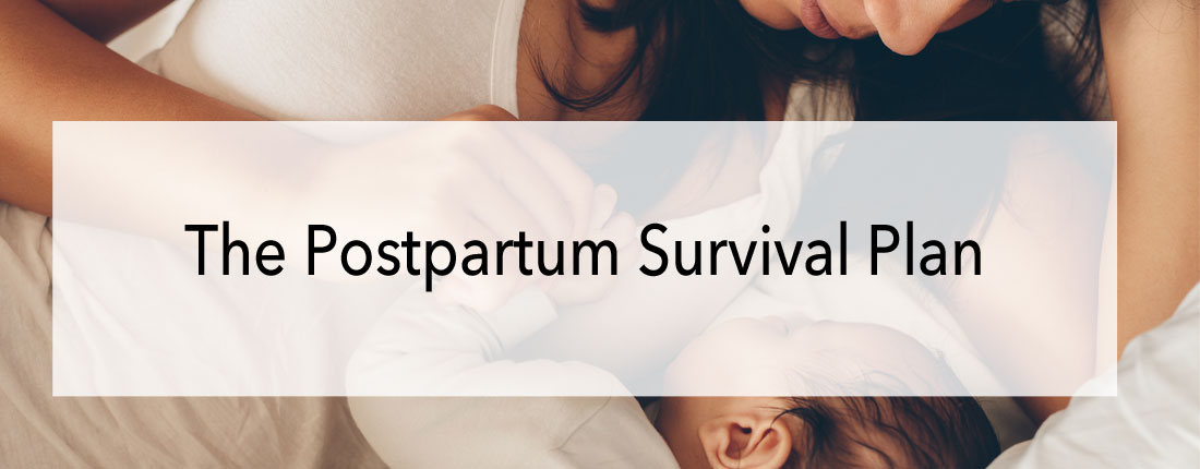 The Postpartum Survival Plan